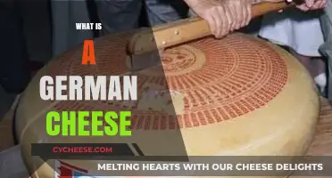 Exploring the Rich Flavors of Traditional German Cheese Varieties