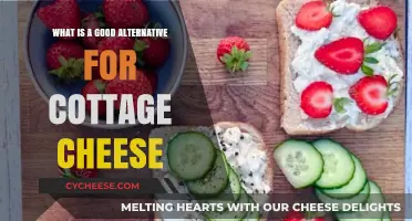 Creamy and Healthy: Discover the Best Cottage Cheese Alternatives