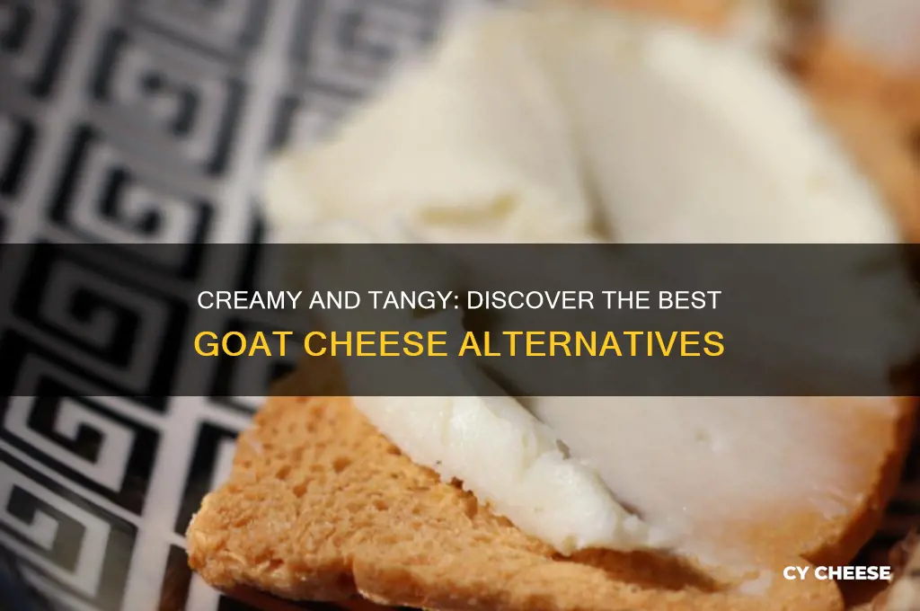 what is a good alternative to goats cheese