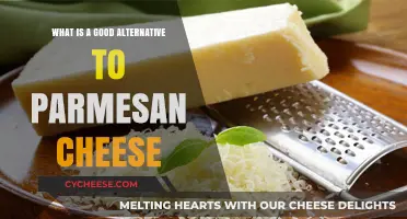 Discover the Best Parmesan Cheese Alternatives for Your Recipes