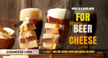 Perfect Pairings: Best Beers to Elevate Your Beer Cheese Experience