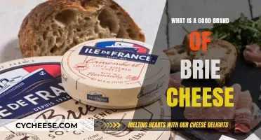 Discover the Best Brie Cheese Brands for Your Next Cheese Board