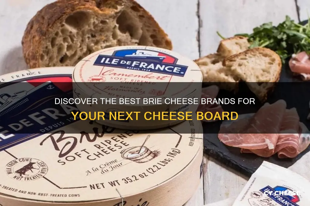 what is a good brand of brie cheese