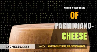 Discover the Best Parmigiano-Reggiano Cheese Brands for Authentic Flavor