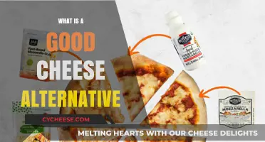 Discover the Best Dairy-Free Cheese Alternatives for Your Diet