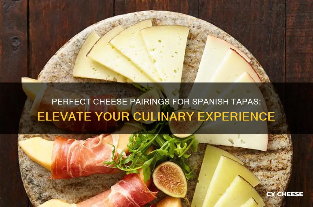 what is a good cheese fir spanksh tappas