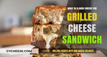Perfect Grilled Cheese: Top Cheese Choices for Melty, Gooey Bliss