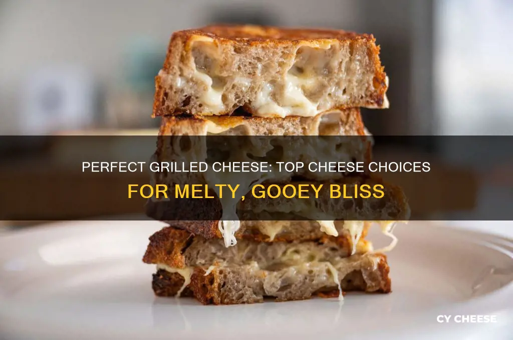 what is a good cheese for grilled cheese sandwich