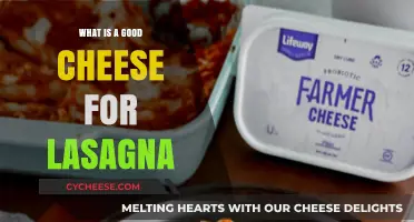 Best Cheeses for Perfect Lasagna: Top Picks and Tips