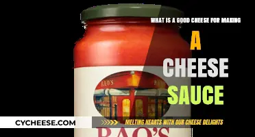 Perfect Cheese Sauce: Top Cheese Choices for Creamy, Flavorful Results