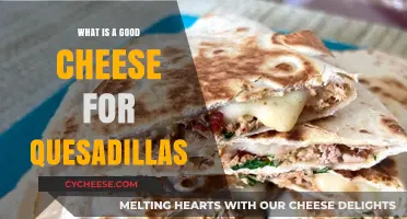 Perfect Quesadilla Cheese: Top Picks for Melty, Flavorful Creations