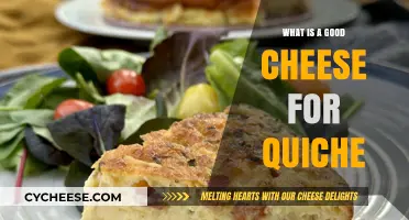 Perfect Quiche Cheese: Top Picks for Creamy, Flavorful Results