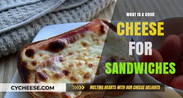 Perfect Sandwich Cheese: Top Picks for Flavorful, Melty Creations