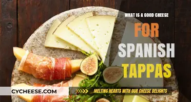 Perfect Spanish Tapas Cheese Pairings: Top Picks for Authentic Flavors