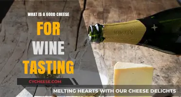 Perfect Pairings: Top Cheeses to Elevate Your Wine Tasting Experience