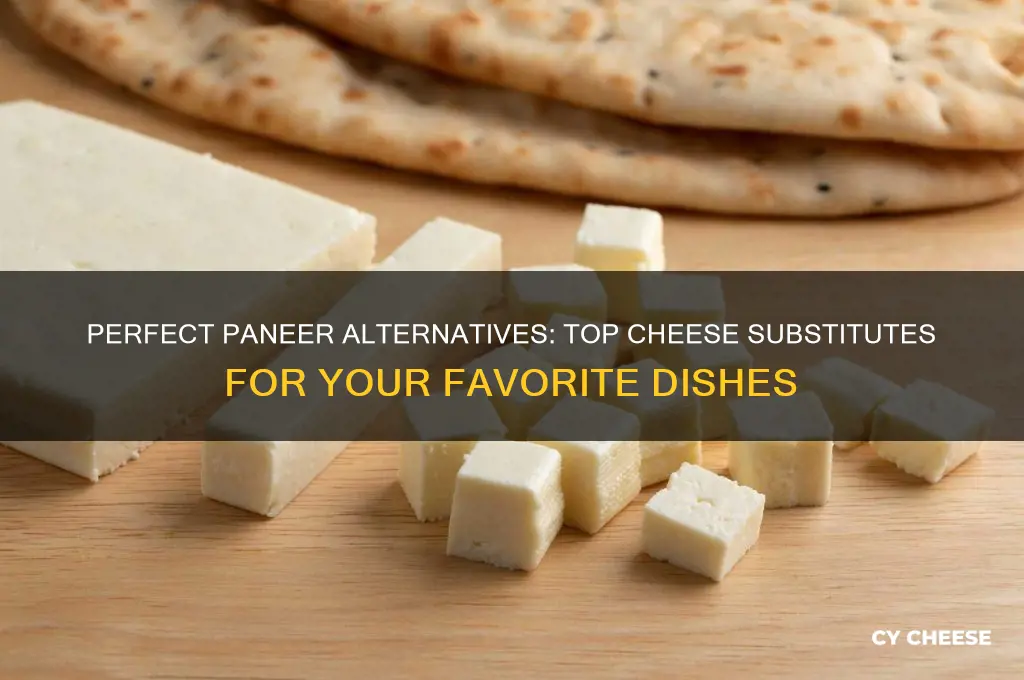 what is a good cheese substitute for paneer