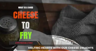Best Cheeses for Frying: Crispy, Melty, and Delicious Options