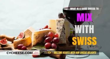 Perfect Pairings: Best Cheeses to Complement Swiss in Your Recipes