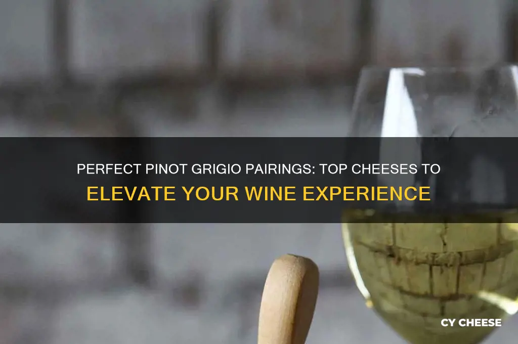 what is a good cheese to pair with pinot grigio
