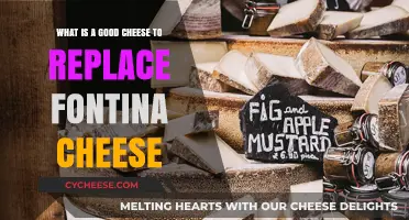 Best Fontina Cheese Substitutes for Your Favorite Recipes