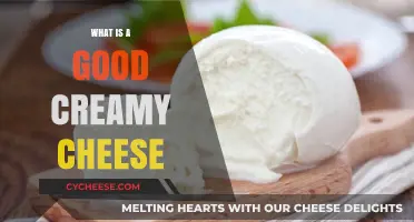 Discover the Best Creamy Cheese Varieties for Your Culinary Creations