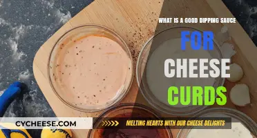 Perfect Pairings: Best Dipping Sauces for Crispy Cheese Curds