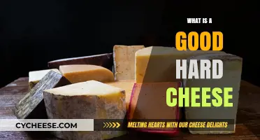 Exploring the Best Hard Cheeses for Flavor and Texture