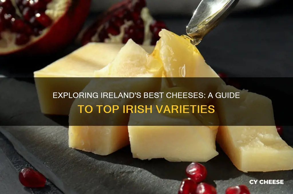 what is a good irish cheese
