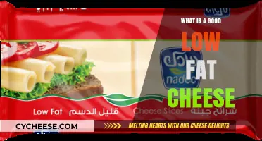 Discover the Best Low-Fat Cheese Options for Healthy Eating