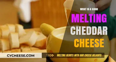 Discover the Best Melting Cheddar Cheese for Your Culinary Creations