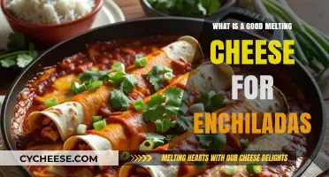 Best Melting Cheeses for Enchiladas: Top Picks and Tips