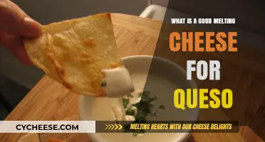 Best Melting Cheeses for Perfect, Creamy Queso Dips Every Time
