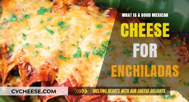 Best Mexican Cheese for Enchiladas: Top Picks and Tips