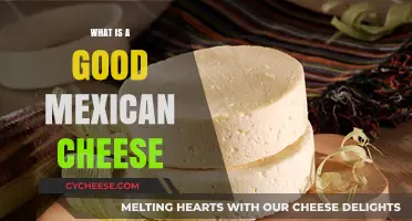 Discover the Best Mexican Cheese for Authentic Flavor and Texture