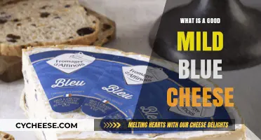 Discovering the Perfect Mild Blue Cheese for Your Palate