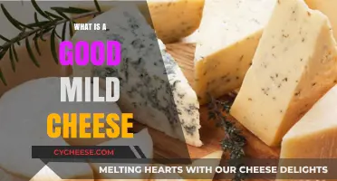 Discovering the Best Mild Cheeses for Every Palate and Occasion