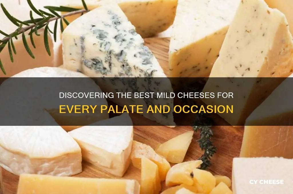 what is a good mild cheese
