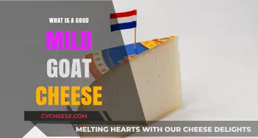 Discovering the Best Mild Goat Cheese: Creamy, Versatile, and Delicious
