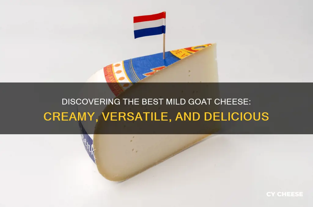 what is a good mild goat cheese
