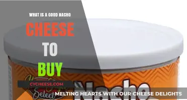 Top Nacho Cheese Brands: A Guide to the Best Store-Bought Options