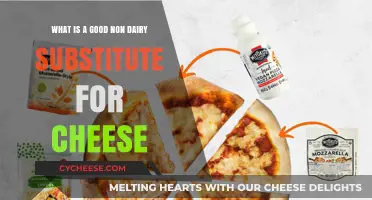 Best Non-Dairy Cheese Alternatives for Plant-Based Diets