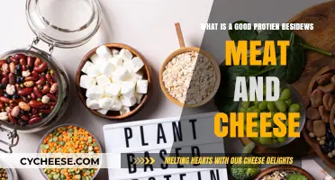 Discover Top Plant-Based Protein Sources Beyond Meat and Cheese