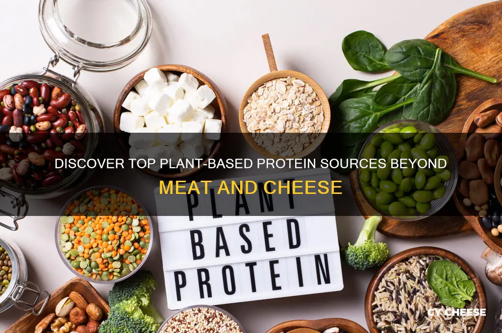 what is a good protien besidews meat and cheese