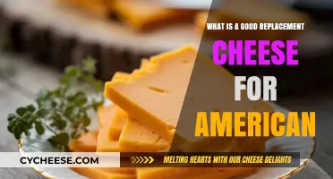 Discover the Best Cheese Alternatives to American Cheese for Your Recipes