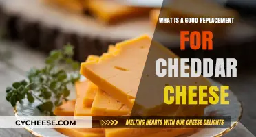 Cheddar Cheese Alternatives: Discover Tasty, Versatile Substitutes for Your Recipes