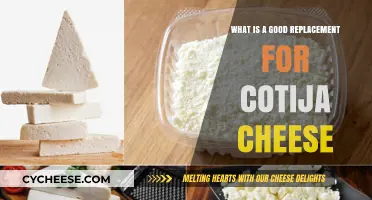 Discover the Best Cotija Cheese Substitutes for Your Recipes