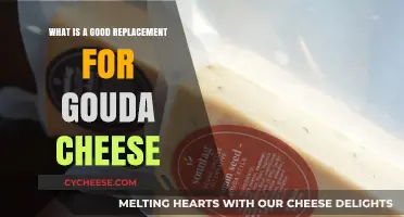 Discover the Best Gouda Cheese Alternatives for Your Recipes