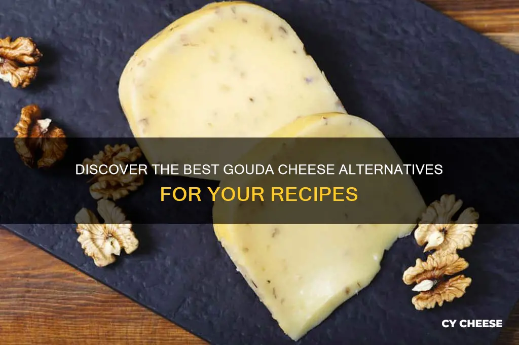 what is a good replacement for gouda cheese