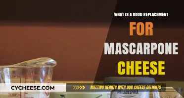Creamy Alternatives: Best Mascarpone Cheese Substitutes for Your Recipes