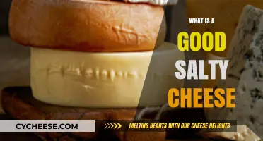 Discover the Best Salty Cheeses for Your Next Cheese Board